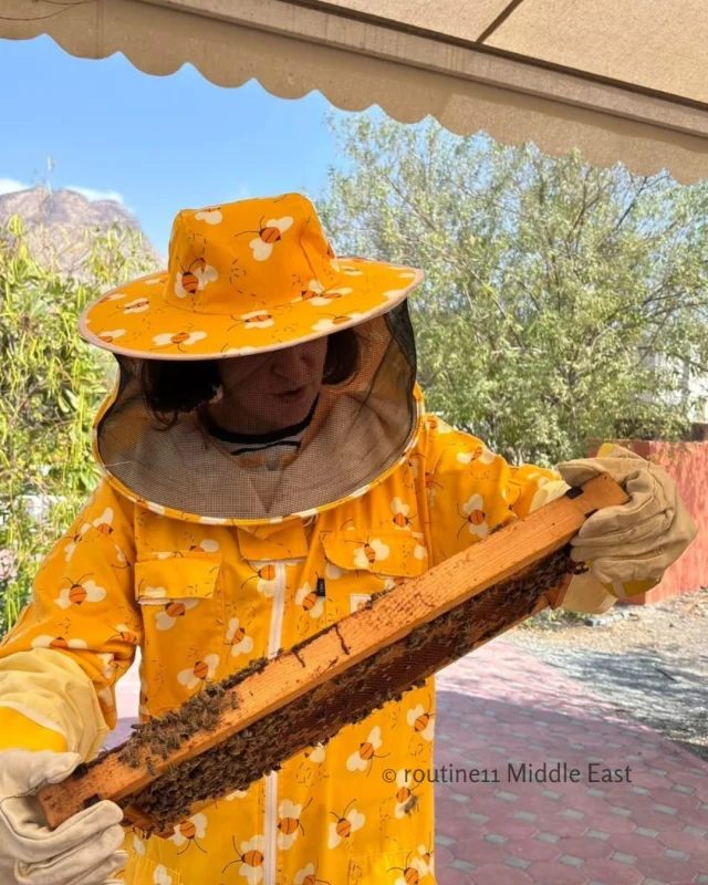 Hatta Honey Bee Garden