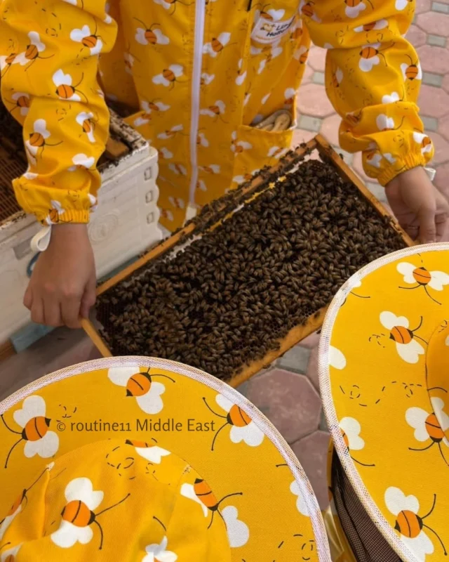 Hatta Honey Bee Garden