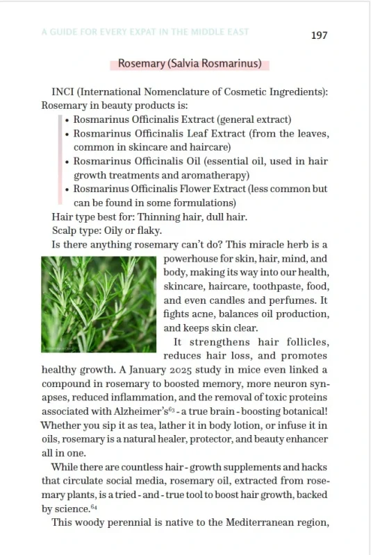 The Dubai Guide For Hair Loss