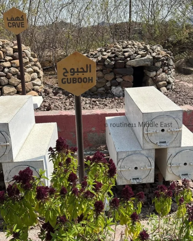 Hatta Honey Bee Garden