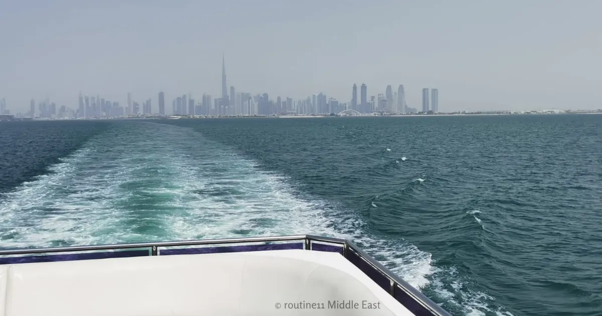 Expat in the UAE view