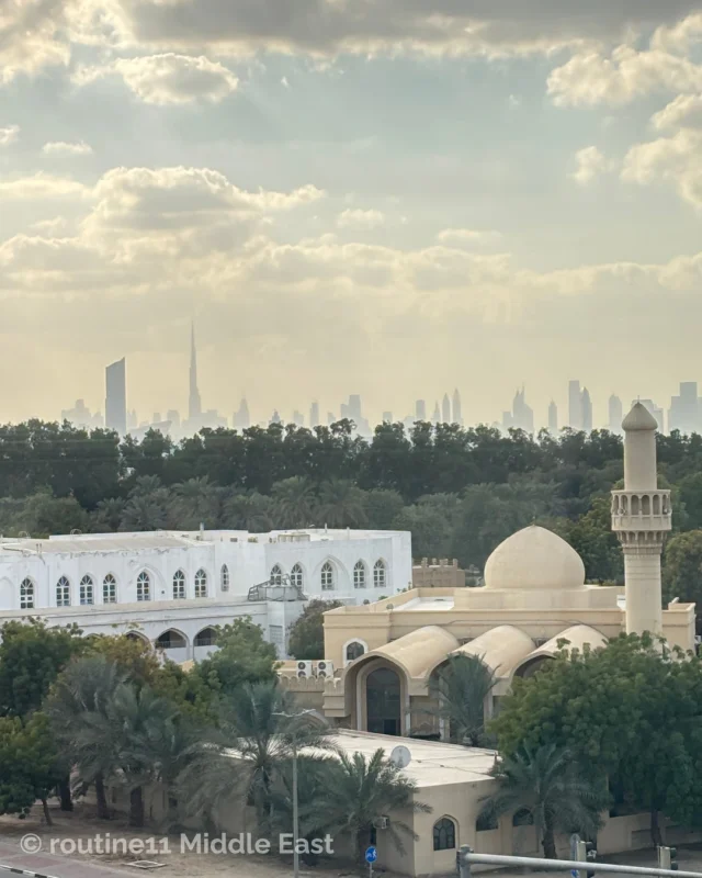 view from Dubai Metro Green Line
